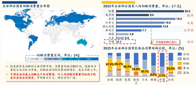 出席2024奶酪产业创新与发展论坛j9九游真人游戏第一平台沙利文受邀(图1)
